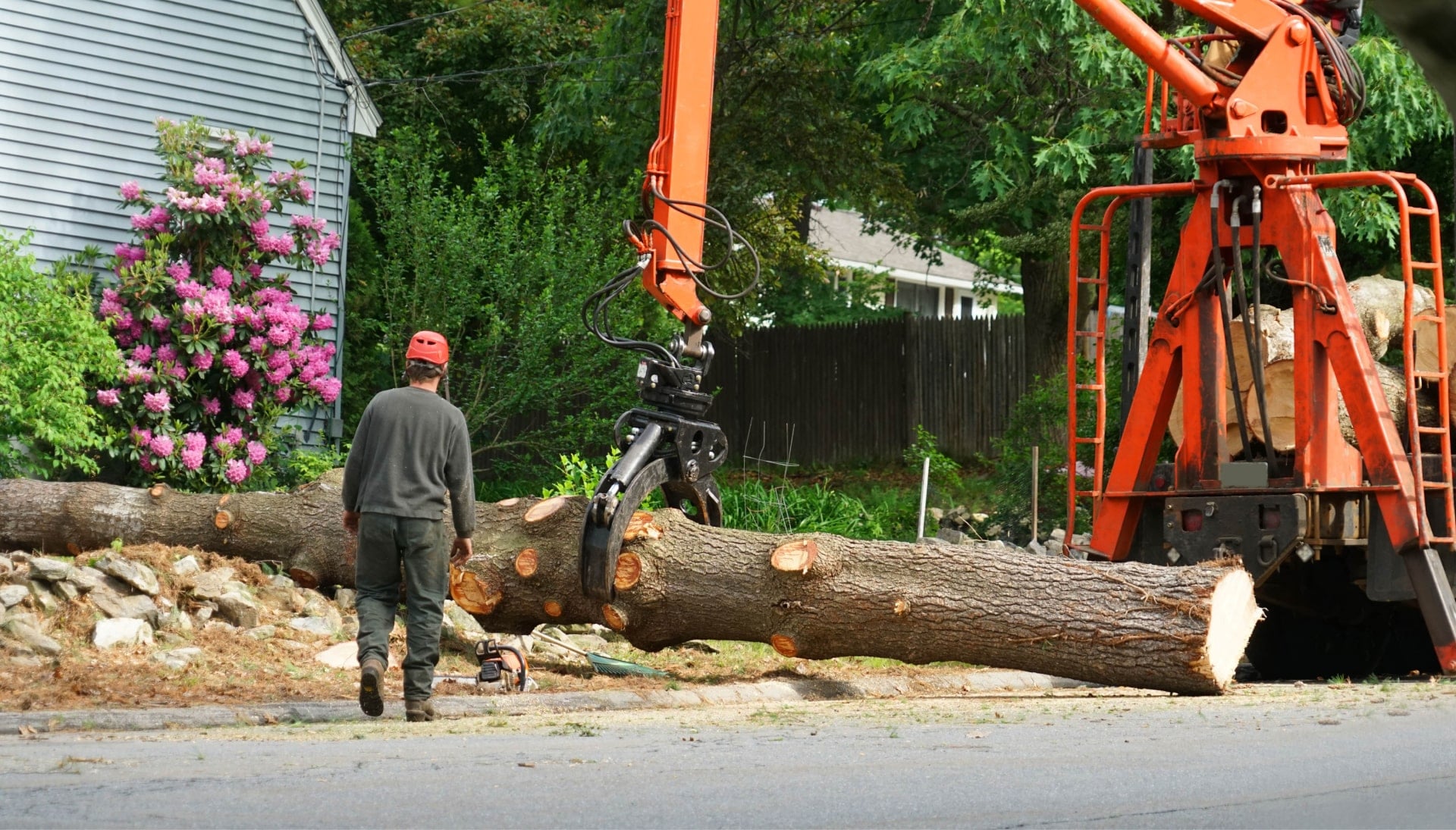 Local partner for Tree removal services in Lansing